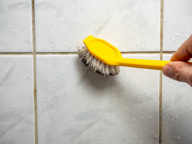 Mold Testing and Removal in Mechanicsville, VA