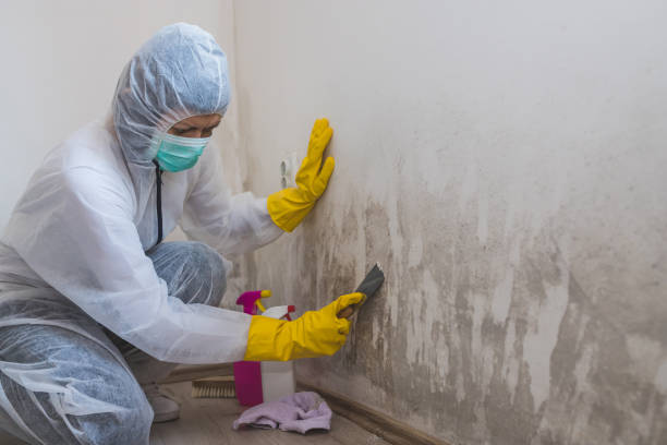 Best Mold Testing  in Mechanicsville, VA