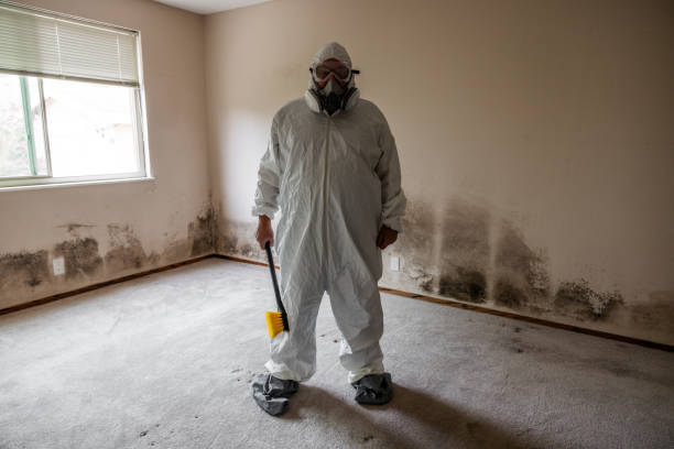 Best Crawl Space Mold Removal  in Mechanicsville, VA