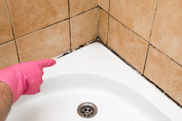 Best Mold Testing and Removal  in Mechanicsville, VA